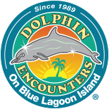 Dolphin Encounters