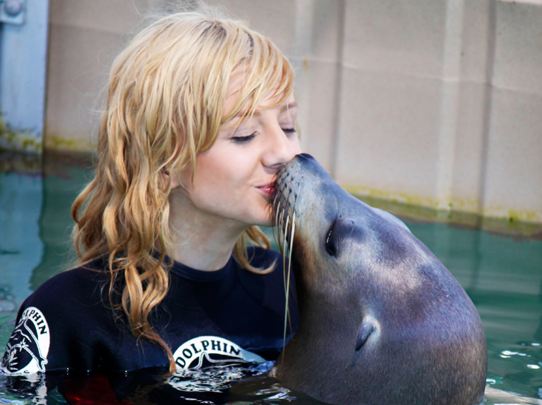 Amy Johnsons Dolphin Encounters A Shocking Revelation - s4aa1cw