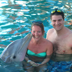 DolphinEcounter