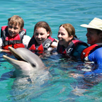DolphinSwim