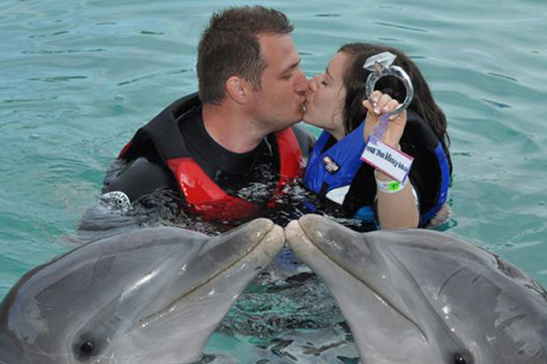 Dolphin marriage outlet
