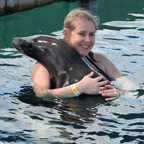 SealionEncounter
